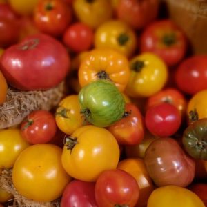 Recette: Gazpacho de tomates green zebra