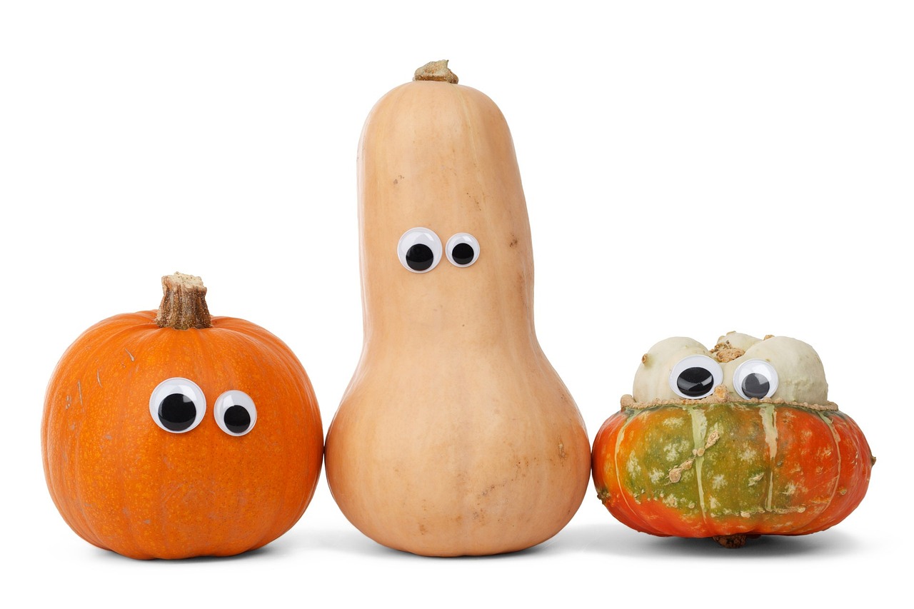 Atelier « Les superpouvoirs des graines de Courges »