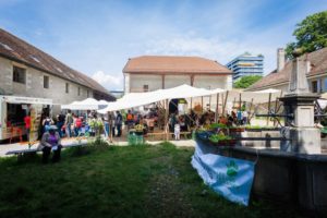 Buffet saisonnier avec Alter Start Food